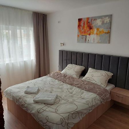 Ela'S Apartment Baile Herculane Luaran gambar