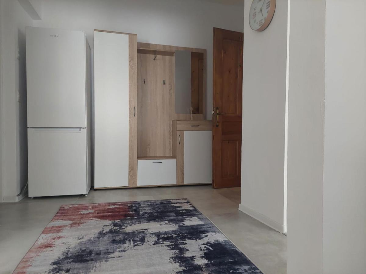 Ela'S Apartment Baile Herculane Luaran gambar