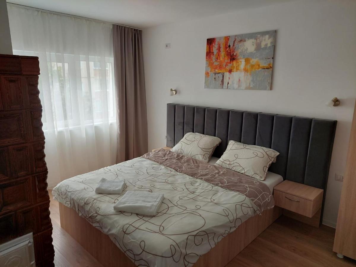 Ela'S Apartment Baile Herculane Luaran gambar